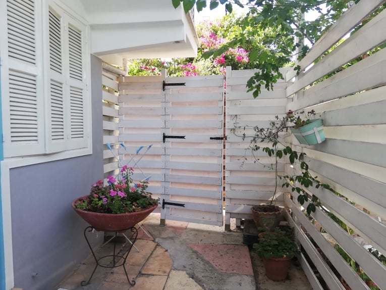 A small garden with flowers